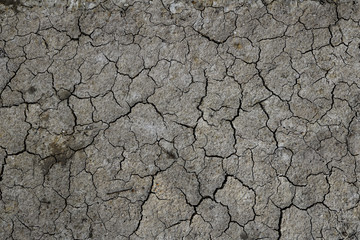 The soil is dry and cracked texture. Abstract background