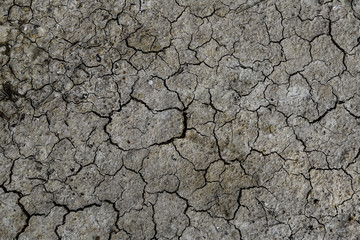 The soil is dry and cracked texture. Abstract background