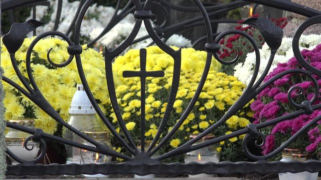 candle light yellow chrysanthemum in metal cross in cemetery. 4K