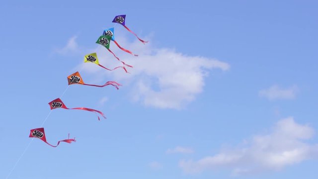 空に舞う連凧