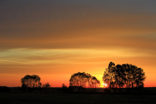 Sunset over the grassy meadows and wetlands - wildlife and birds reserve - and the Biebrza river in the Biebrzanski National Park in Poland