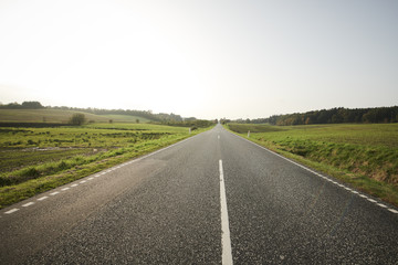 Landscape with green fields and a long road disappearing out in the horizon.