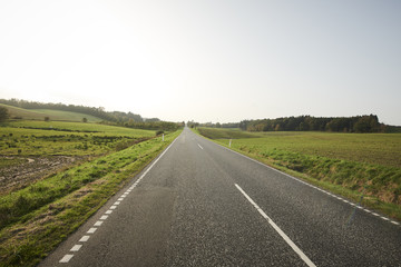 Landscape with green fields and a long road disappearing out in the horizon.