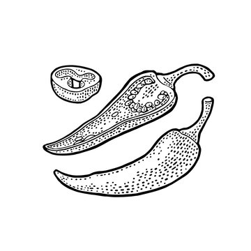 Chilli whole, half and slice. Vector vintage engraved