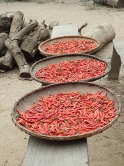 laos