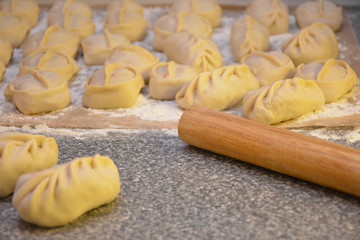 Meat dumpling, preparation, close up