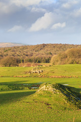 A Cumbrian View