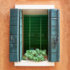 Window with green shutters and flowers in the pot. Italy, Venice, Burano