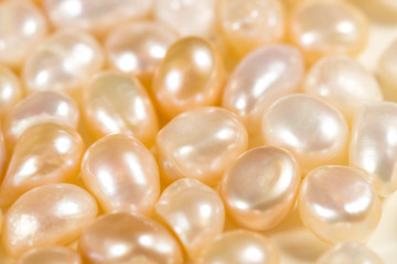 Real pearls white and gold color close up macro.