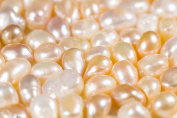 Real pearls white and gold color close up macro.