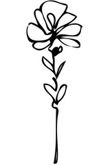  vector sketch abstract flower