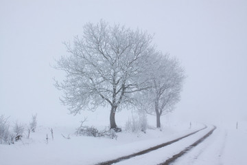 Rauhreif und Schneefall