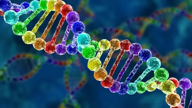 DNA - deoxyribonucleic acid