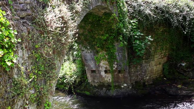 viejo puente de arco hecho con  piedras antiguas y  un rio con agua en movimiento  y mucha vegetaci&oacute;n