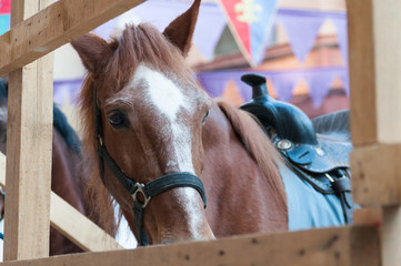 horse with saddle in a stable