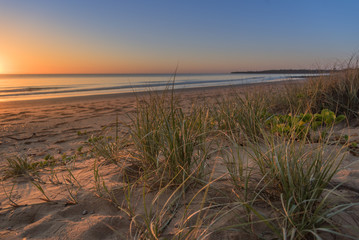 A serene sunrise with dune grass on a Bundaberg Beach