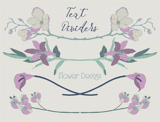 Vector Colorful Floral Text Dividers. Flower Design Elements