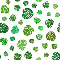 Monstera Leaves Pattern