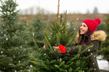 Young Woman Buying Christmas Tree
