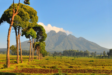 Pejzaż  Gór Virunga w Rwandzie