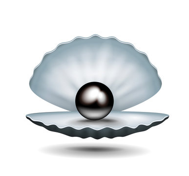 Pearl inside shell 