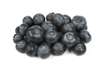Myrtilles sur fond blanc 