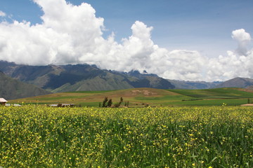 Peru