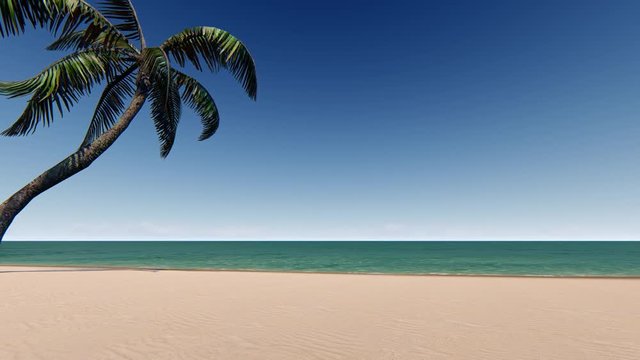 Sandy beach with palm tree and blue sky