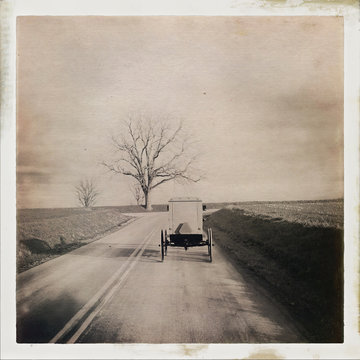 Amish horse & buggy