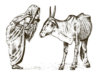 Hindu monk with a sacred Indo-Aryan cow in India. traditional animal. engraved hand drawn in old sketch, vintage style.