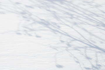 雪　木　影　素材