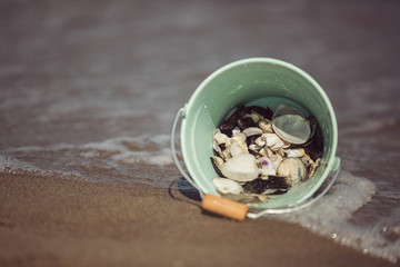 Sea shells in the bucket on the beach