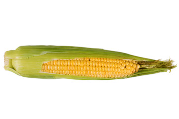 Corn on a white background