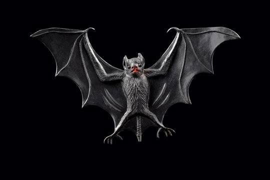 Bat stock images. Bat toy on a black background. Halloween decoration bat