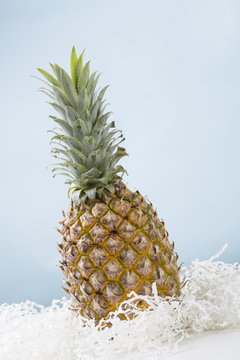 Ripe pineapple with blue background.