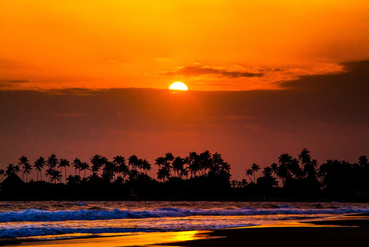 beautiful sunset over the coconut plams on Sri Lanka beach
