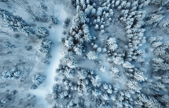 Winterwald Luftbild