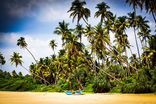 untouched tropical beach in Sri Lanka