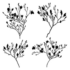 branches vector silhouette set