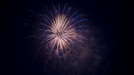 Fototapeta premium Fireworks