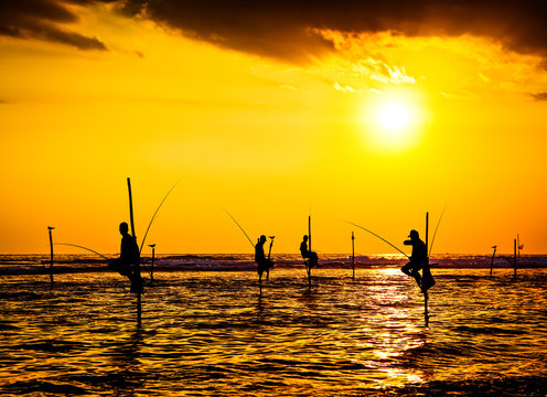 silhouettes of the traditional stilt fishermen at the sunset near Galle in Sri Lanka