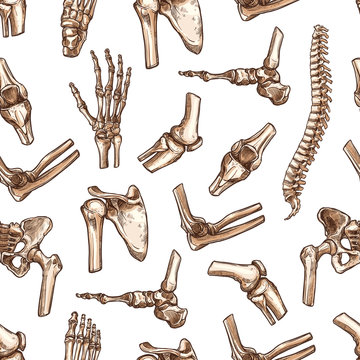 Vector seamless pattern human body bones sketch