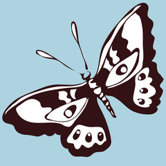 Butterfly character illustration vector