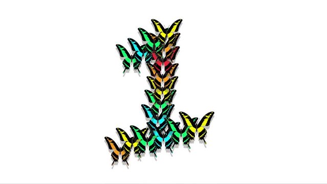 animated multicolored butterflies arrive, make up an inscription number 1