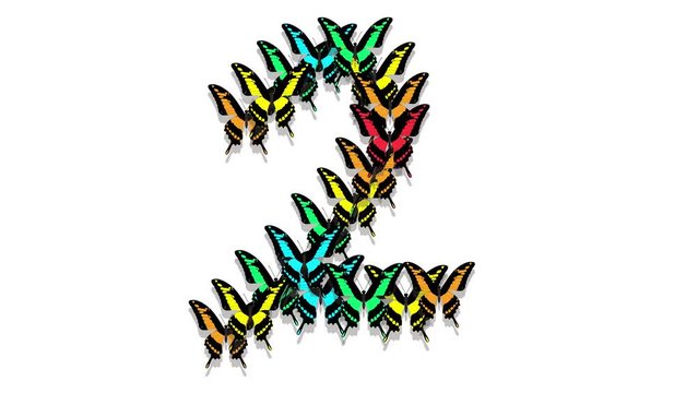 animated multicolored butterflies arrive, make up an inscription number 2