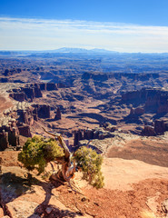 Canyonlands views