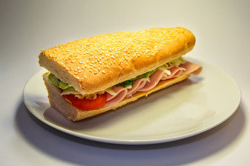 Sandwich with ham and cheese on a plate 