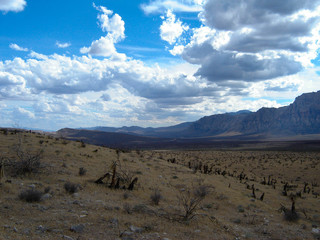 Driving through the Nevada Desert towards the Mountains