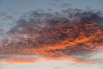 Altocumulus clouds at sunset