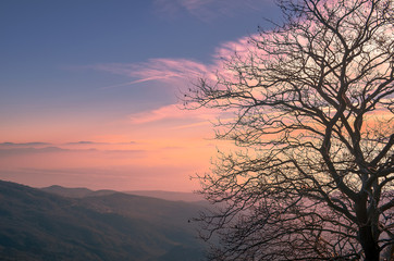 Tree without leaves in foreground and amazing sunset in background.